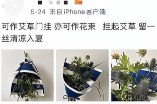 荷兰三棍客是啥？电棍斯内德铁棍罗本，木棍范佩西，挨棍亨特拉尔